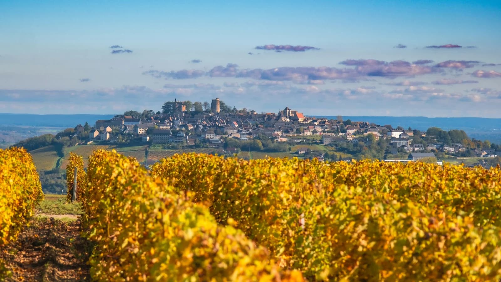View of wine country in the Loire Valley, France